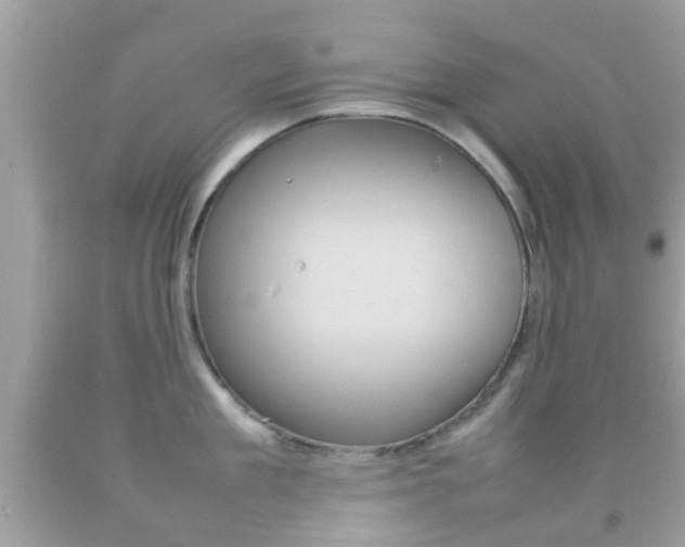 X0000092210909200709140859