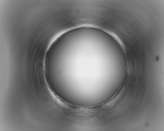 X0000092210910200709140859