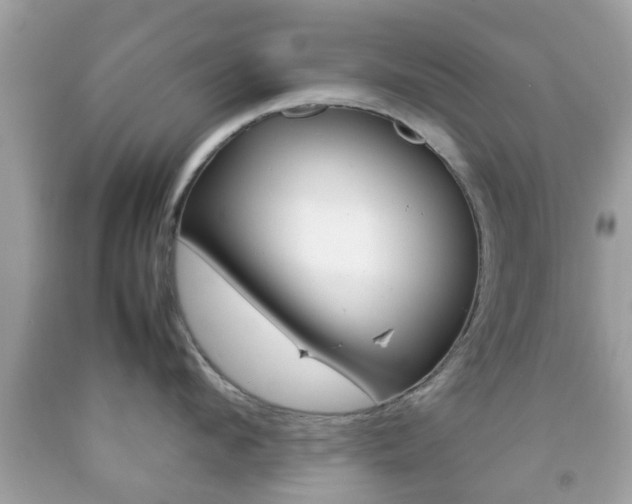 X0000092210912200709140859