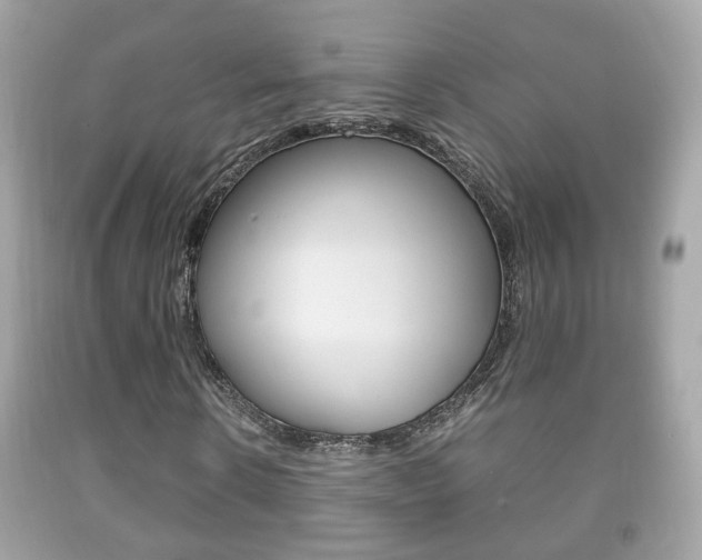 X0000092210914200709140858