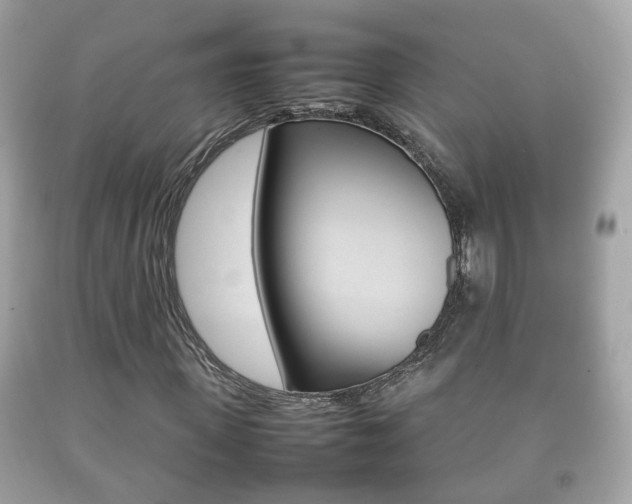 X0000092210915200709140858