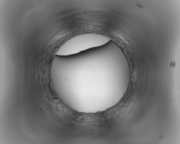 X0000092210917200709140858