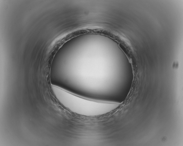 X0000092210920200709140858