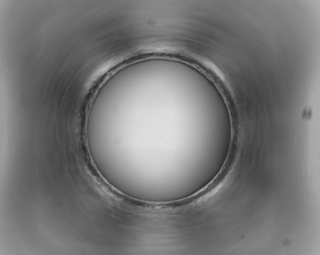 X0000092210922200709140859