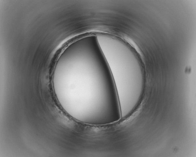 X0000092210923200709140859