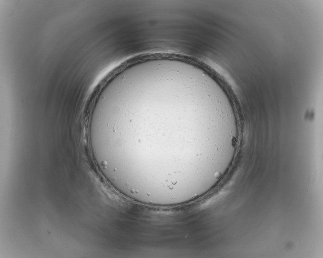 X0000092210925200709140859