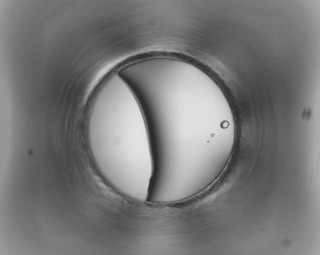 X0000092210926200709140859