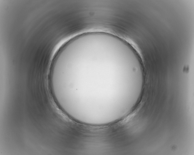 X0000092210928200709140859