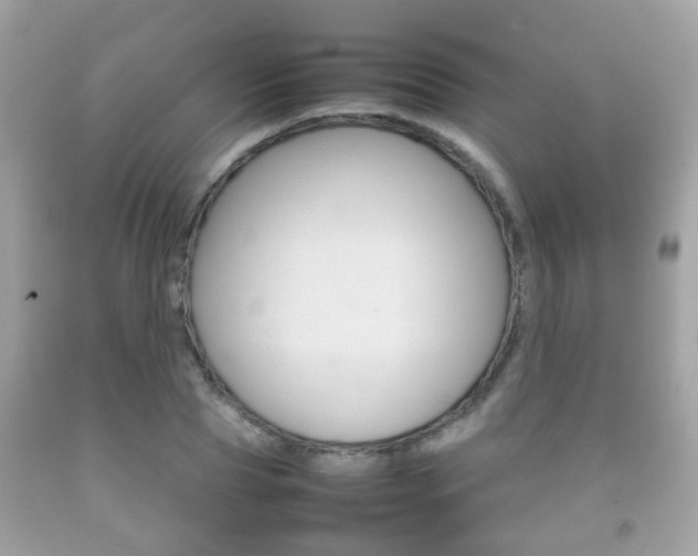 X0000092210929200709140859