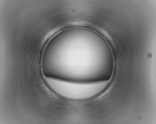 X0000092210930200709140859