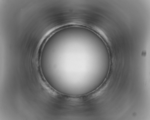 X0000092210931200709140859