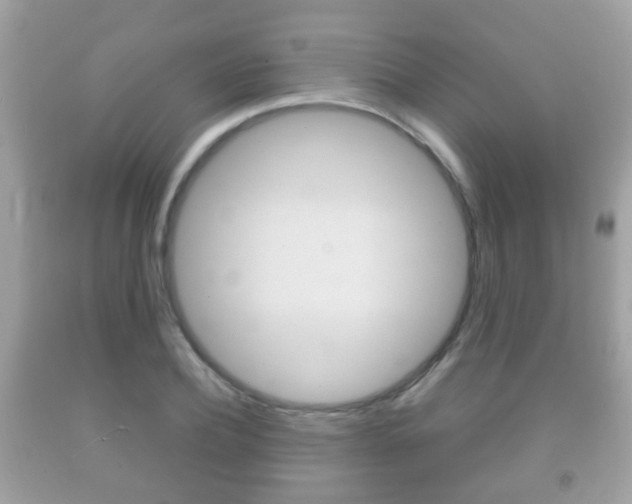 X0000092210932200709140859