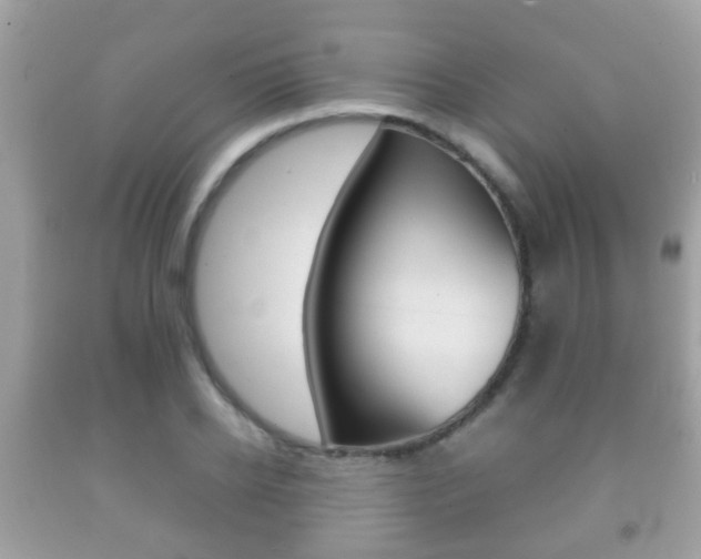 X0000092210934200709140859