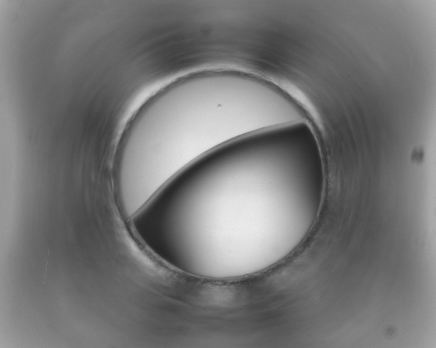X0000092210935200709140859