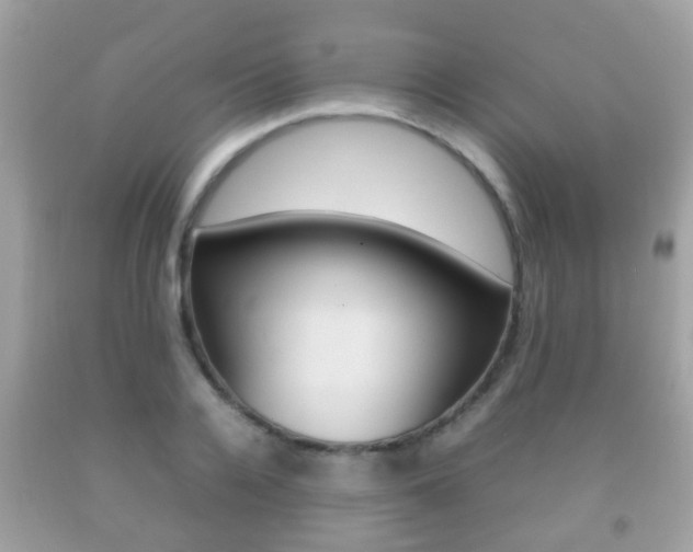 X0000092210936200709140859