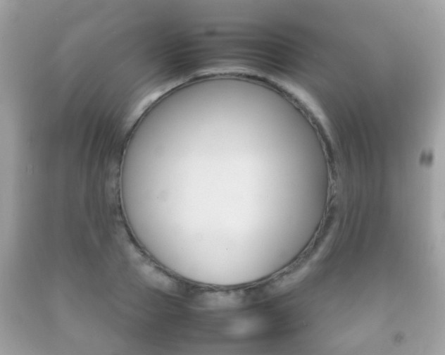 X0000092210937200709140859