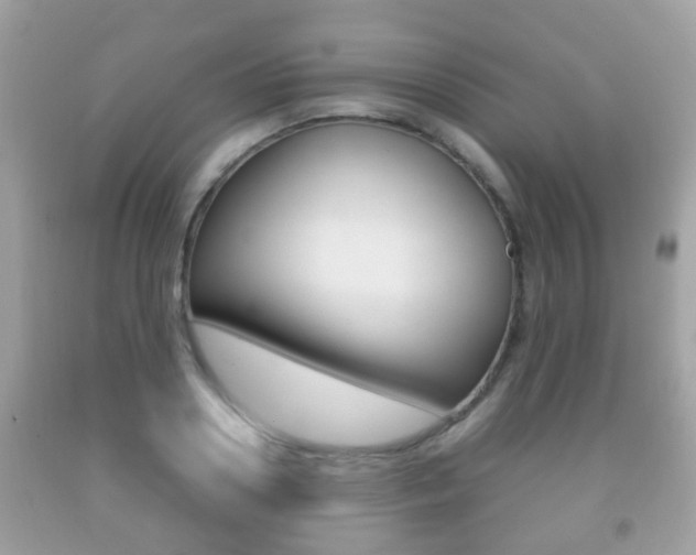 X0000092210938200709140859