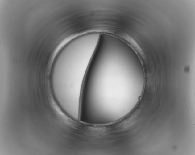 X0000092210939200709140859