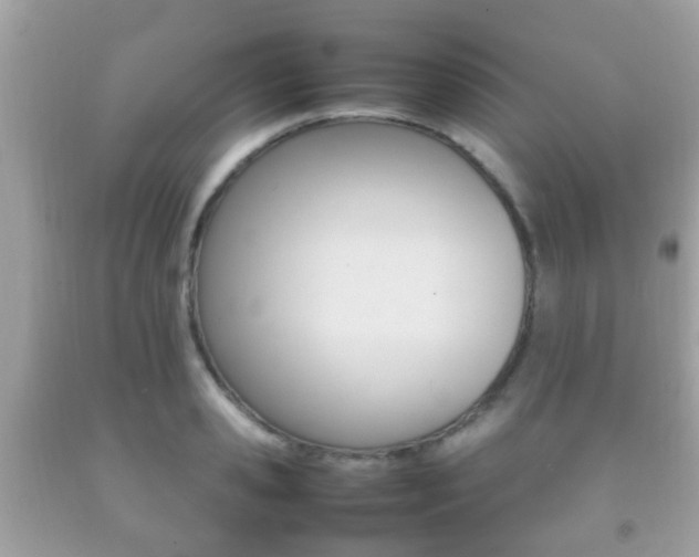 X0000092210941200709140859