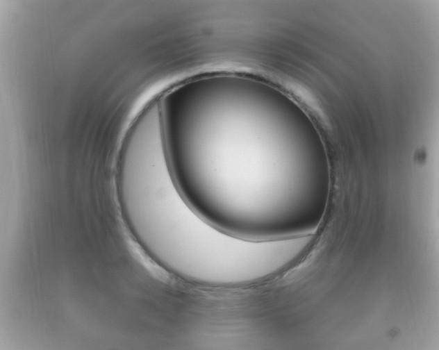 X0000092210942200709140859