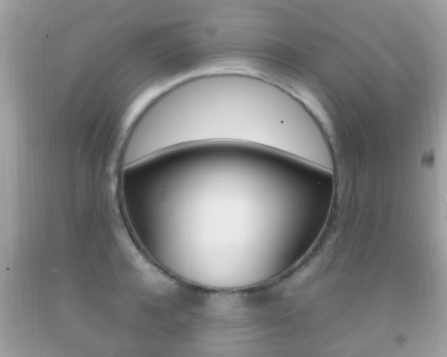 X0000092210944200709140859