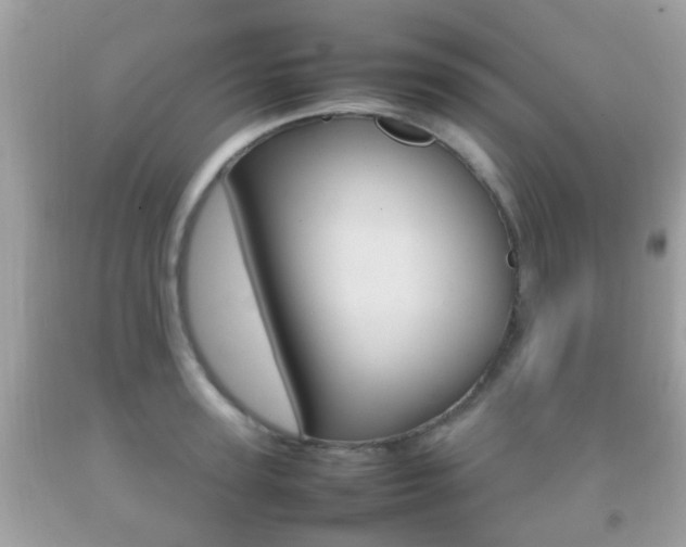 X0000092210947200709140859