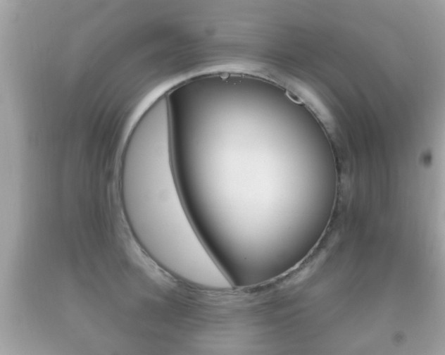X0000092210948200709140859