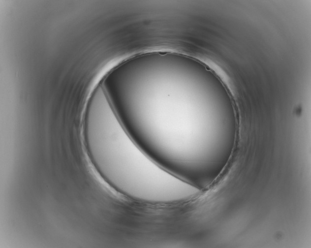 X0000092210949200709140859