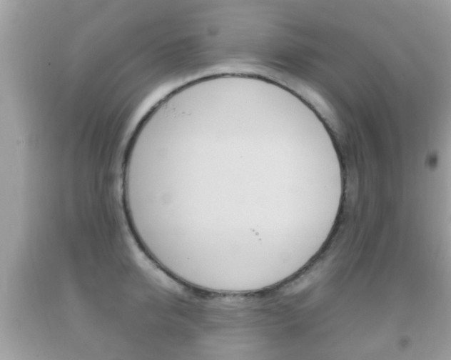X0000092210950200709140859