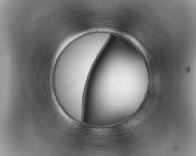 X0000092210951200709140859