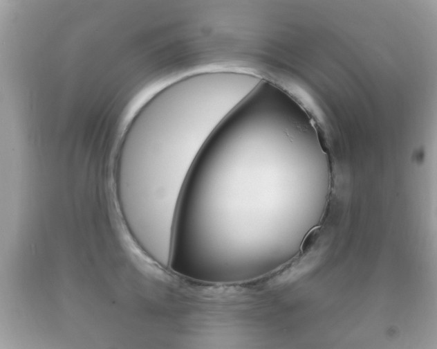 X0000092210952200709140859