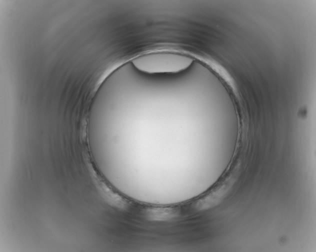 X0000092210953200709140859