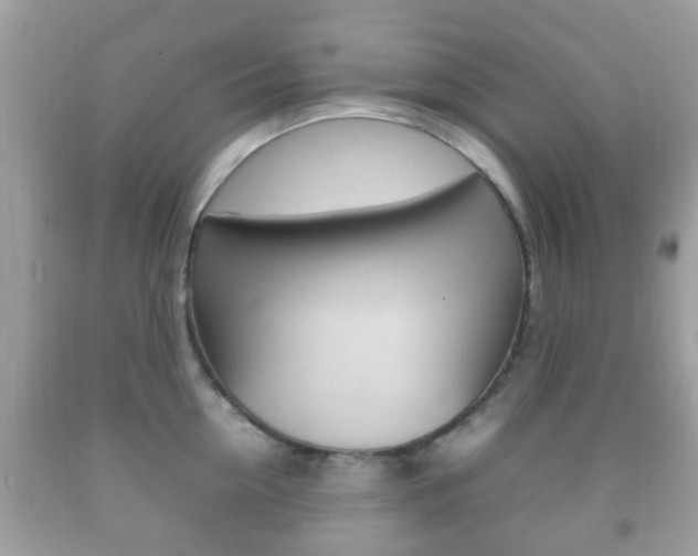 X0000092210954200709140859