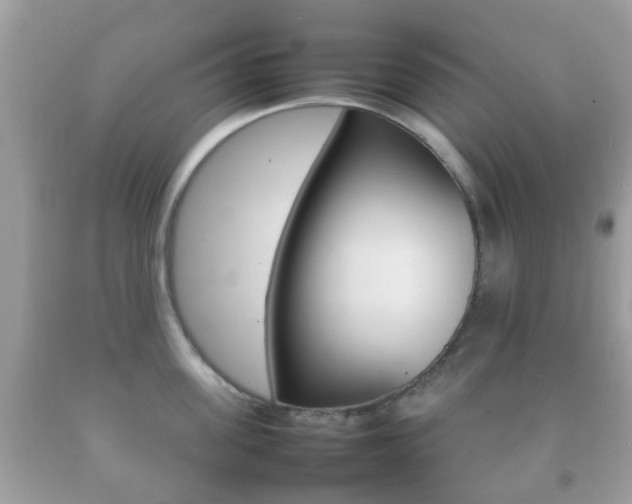 X0000092210955200709140859