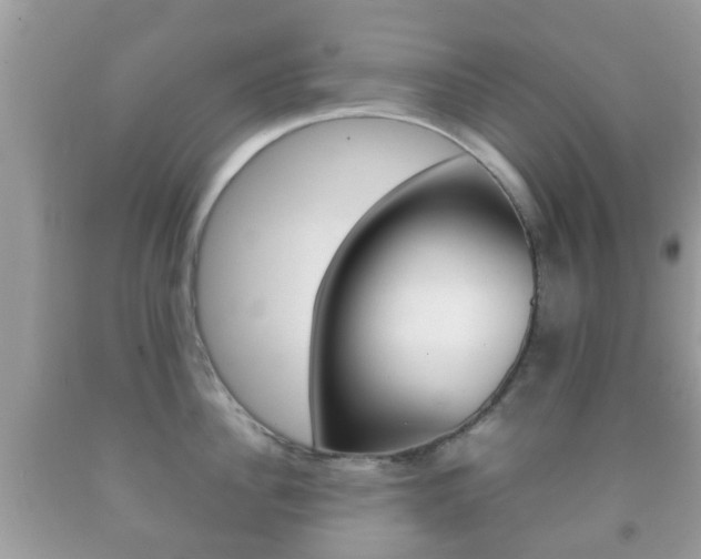 X0000092210956200709140859