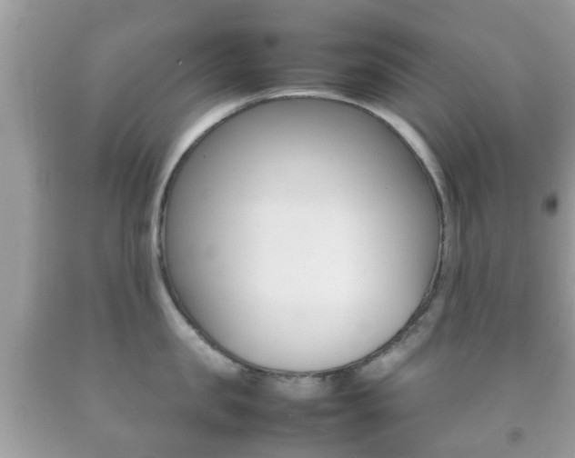X0000092210957200709140859