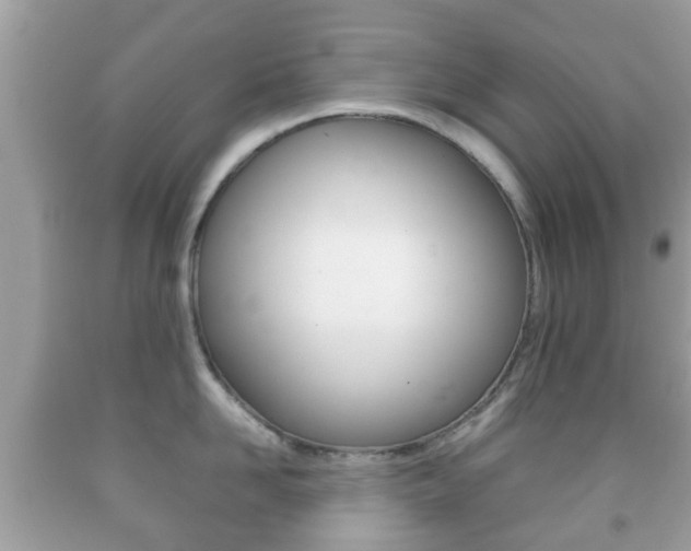 X0000092210958200709140859