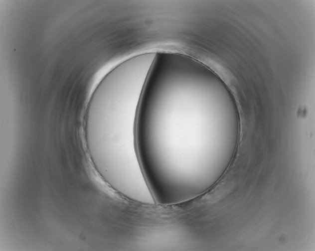 X0000092210960200709140859