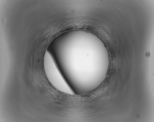 X0000092210961200709140858