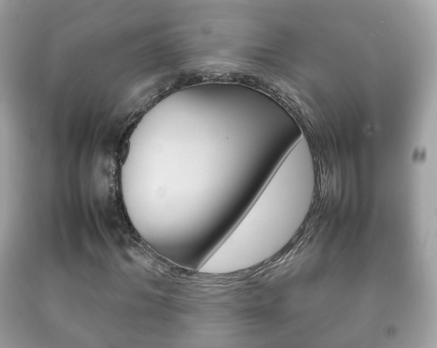 X0000092210964200709140858