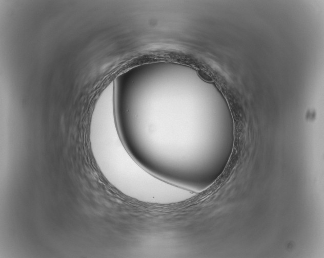 X0000092210965200709140858