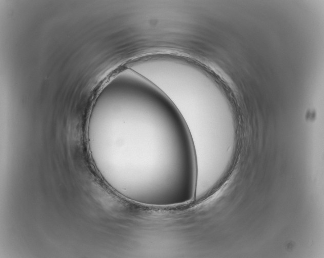 X0000092210969200709140858