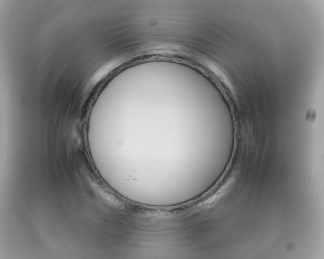 X0000092210970200709140858