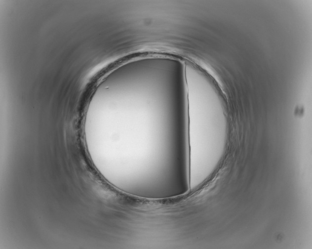 X0000092210971200709140858