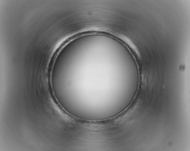 X0000092210972200709140858