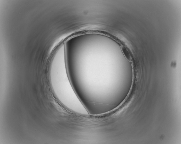 X0000092210973200709140858