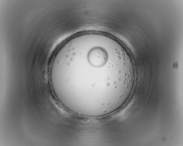 X0000092210974200709140858