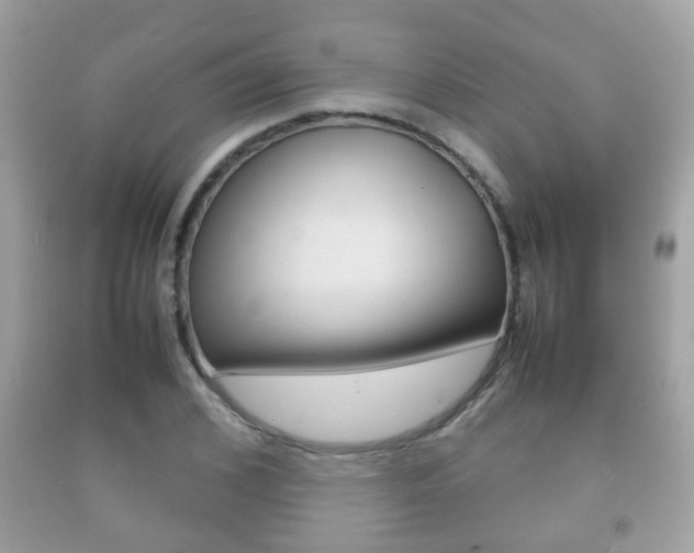 X0000092210976200709140858