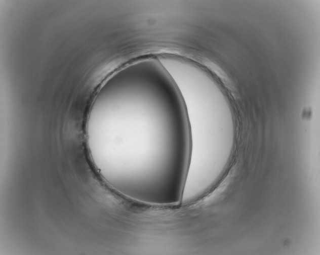 X0000092210977200709140858