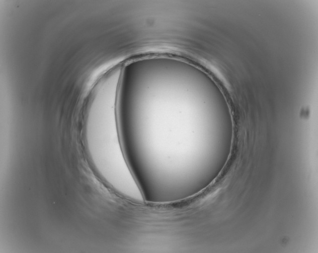 X0000092210979200709140858